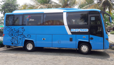 Bus Medium 31/33 Seats